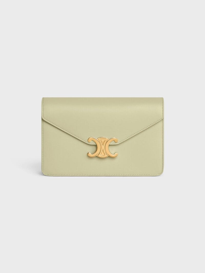 CELINE WALLET ON CHAIN MARGO in Shiny calfskin 10L033DPV.29AG