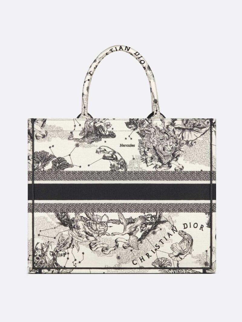 DIOR Large Dior Book Tote M1286ZRHZ_M06E