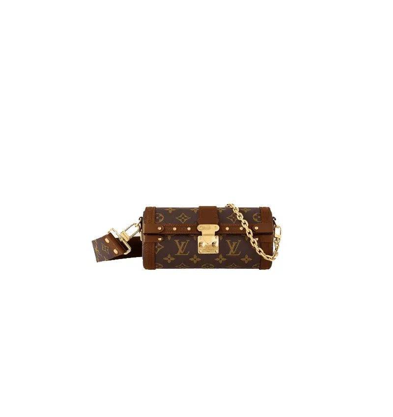 LOUIS VUITTON Papillon Trunk