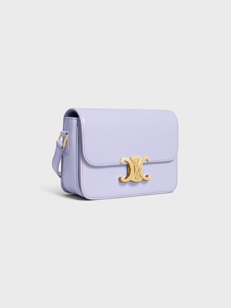 CELINE Teen Triomphe Bag in shiny calfskin 188423BF4.32LL