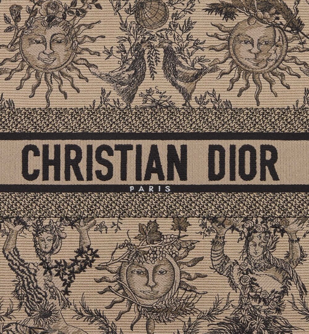 DIOR Large Dior Book Tote M1286ZECQ_M918