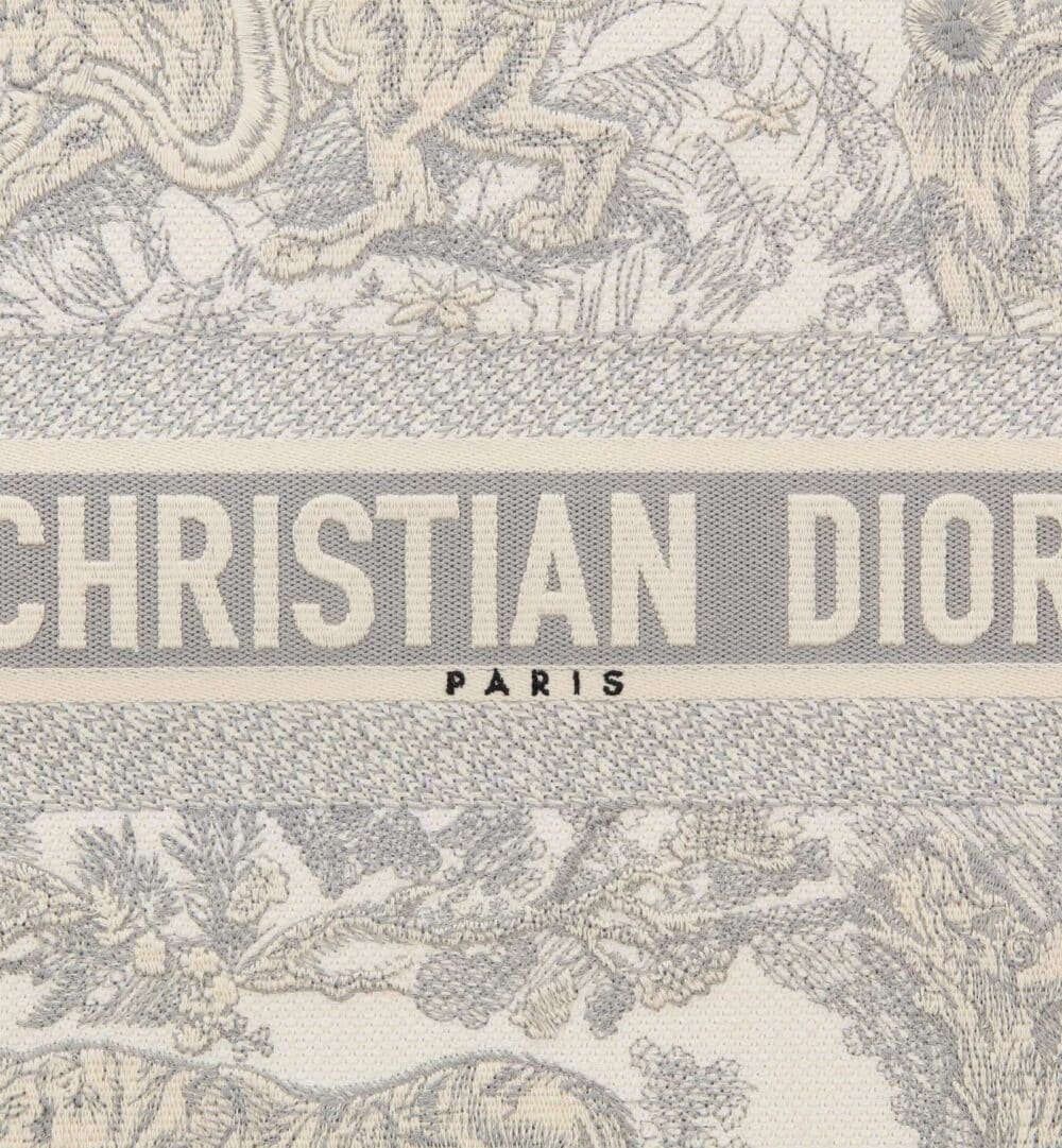 DIOR Large Dior Book Tote M1286ZTDT_M20I